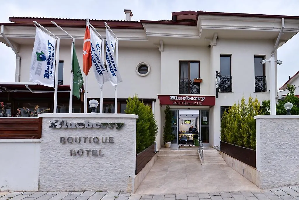 Blueberry Boutique Hotel location
